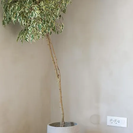 New Town Deluxe Loft *